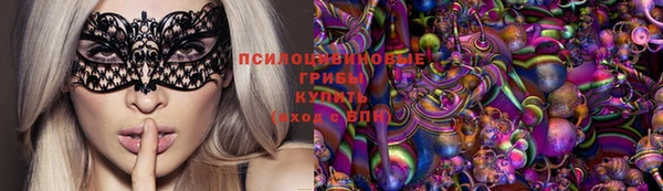 PSILOCYBIN Магас