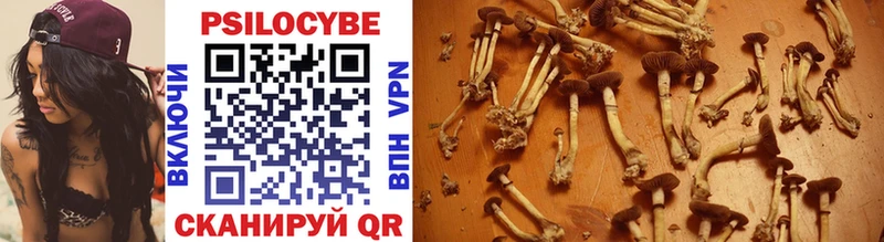 закладка  Суровикино  hydra tor  Псилоцибиновые грибы Psilocybe 